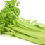 1burntcelery