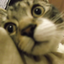 cathie-nya
