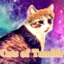 catsoftumblerusers-blog