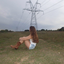 662052-blog