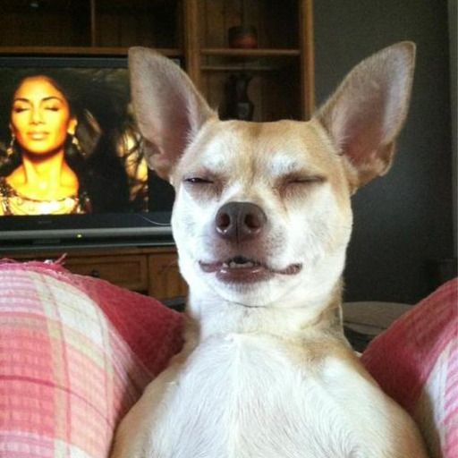 what i do when i get home from school