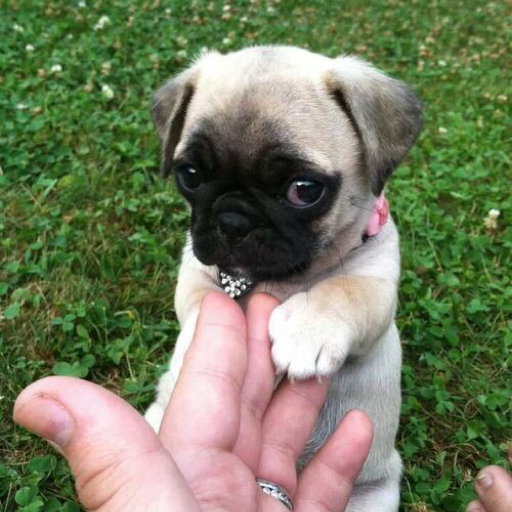 hellothisisphil:  Come on. Post it. Lol. 