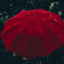 grace-and-poppies-blog