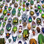 specimenworld-blog