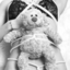 little-pequena