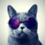 theelegantreader