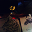 xxdd1-blog