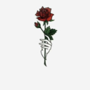 infiresxxbts - Kpop