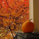 allhallowsleaves:  Autumn is when I’m the happiest. 