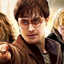 percapotter-blog1