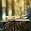 livresquementvotre