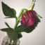 blxrrylands-blog