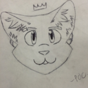 yiff-the-cat avatar