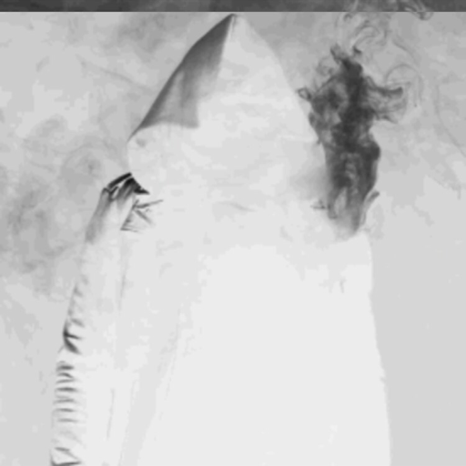 It's a bad religion to be in love with someone who will never love you.
