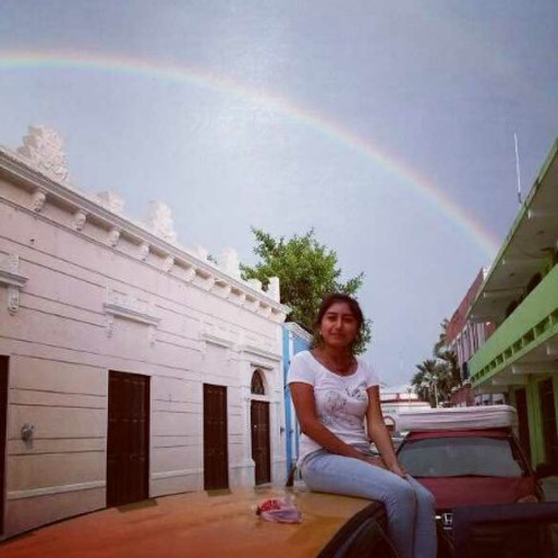 Mariposas en un jarrón