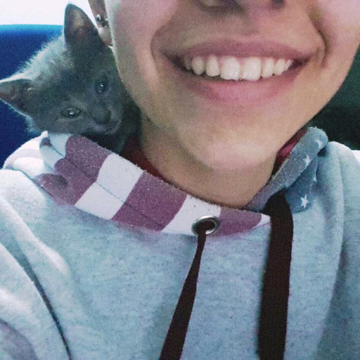 Tamam hadi ben küfür ettim terbiyesiz oldum, peki sen bana