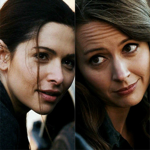 addisonmotherfuckingmontgomery:  megan-8:  Daily reminder that the only reason Shaw thinks she shouldn’t be with Root is because they’d be too hot together  