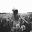 mzzts-blog