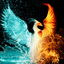 12ashess2stardust