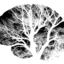 sciamachist-blog