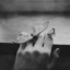 bleedingbutterflies