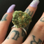 cannakisses-and-cannawishes