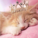 kittensintiaras: Favorite Daddy Phrases Questions: