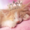 KittensInTiaras♕