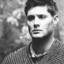 padamooseandgrasshopper-blog