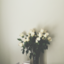 fearlessreads-andwrites