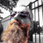 iliketrikes79