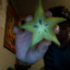 filthyocean-blog