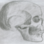 headscape