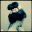 hi-on-daisies