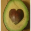 awesomeavocadolove