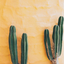 wht-the-fuxk-blog