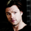 its-the-great-pumpkin-sammy