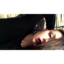 herxfavouritecolour-blog