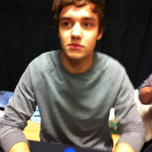 if you dont reblog you will never meet one direction