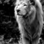 trappedinaroutine-blog