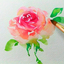 rosengrace19