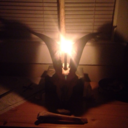 phoenix-fire-witchcraft avatar