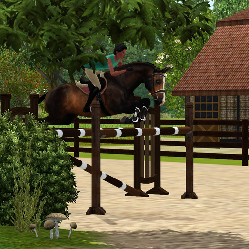 Sims 3 horse tack