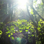 graceofspring