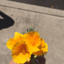 kyliesierraaa:  It’s like, I love you, but I don’t think I like you anymore..