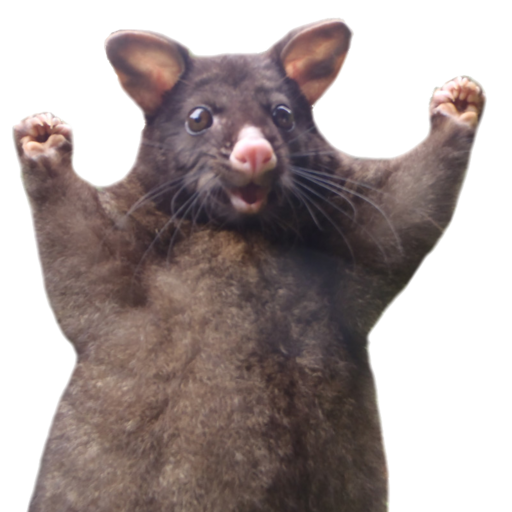 wahoorat: lgbt rats……….big love……if youre a rat and youre a lesbian, gay, bi or trans then big love….use your little rat tails like flagpoles, tie your pride flags to them and let them fly…..