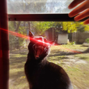 dom-wolfy:  rawrshi:  It’s funny you can tell the exact moment dom-wolfy goes into
