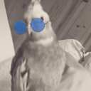 harpertiel avatar