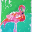classyflamingo