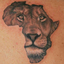 blacklionfoto